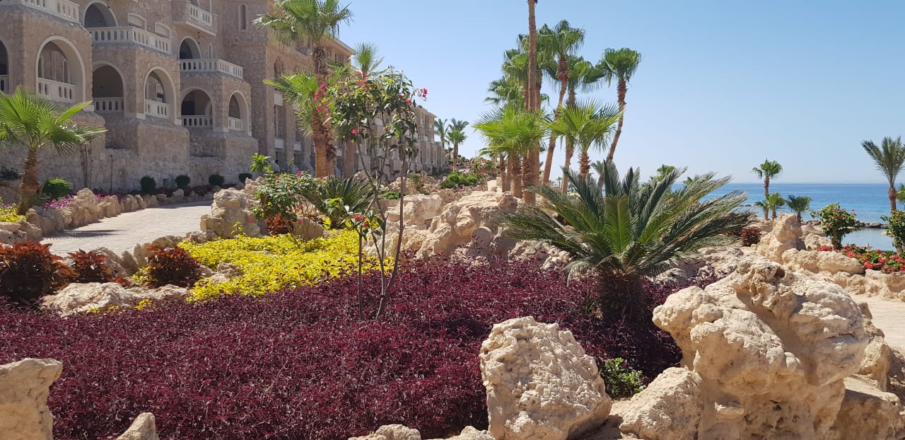 Gartenanlage Pickalbatros Citadel Resort