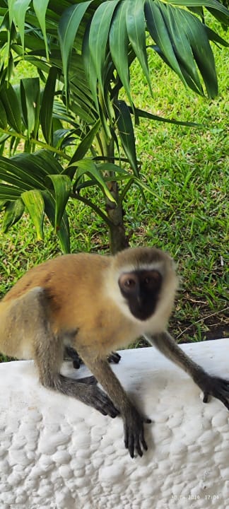 Sonstiges Hotel Southern Palms Beach Resort