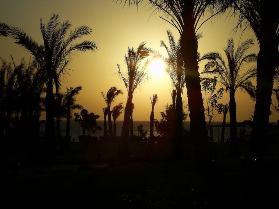 Sonnenuntergang Serenity Alpha Beach