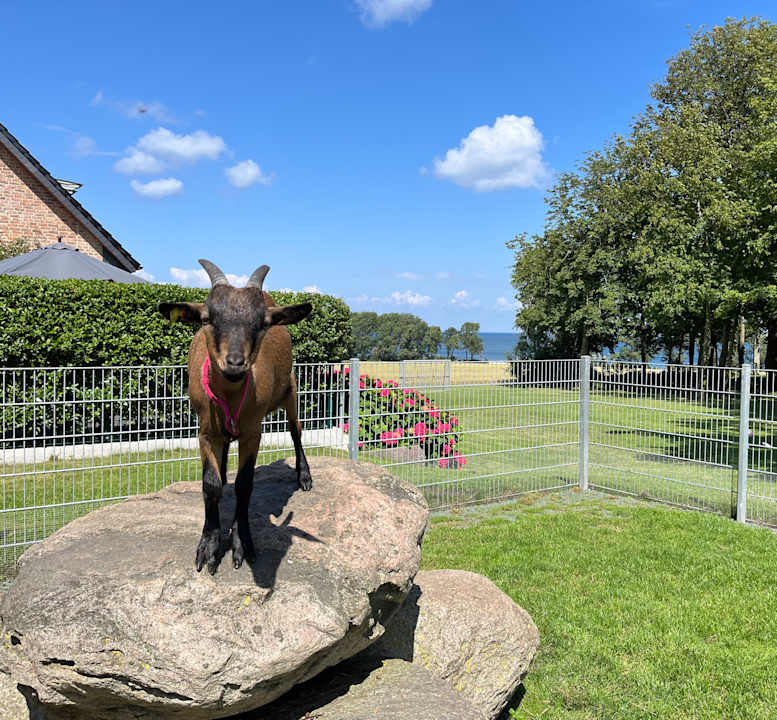 Sonstiges Ferienbauernhof Liesenberg mit Meerblick