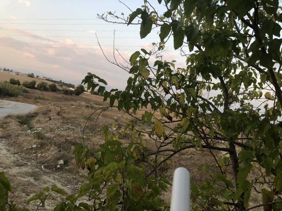 Ausblick Merve Sun Hotel & Spa