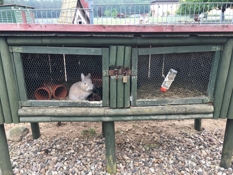 Sport & Freizeit Landhotel Borstel-Treff