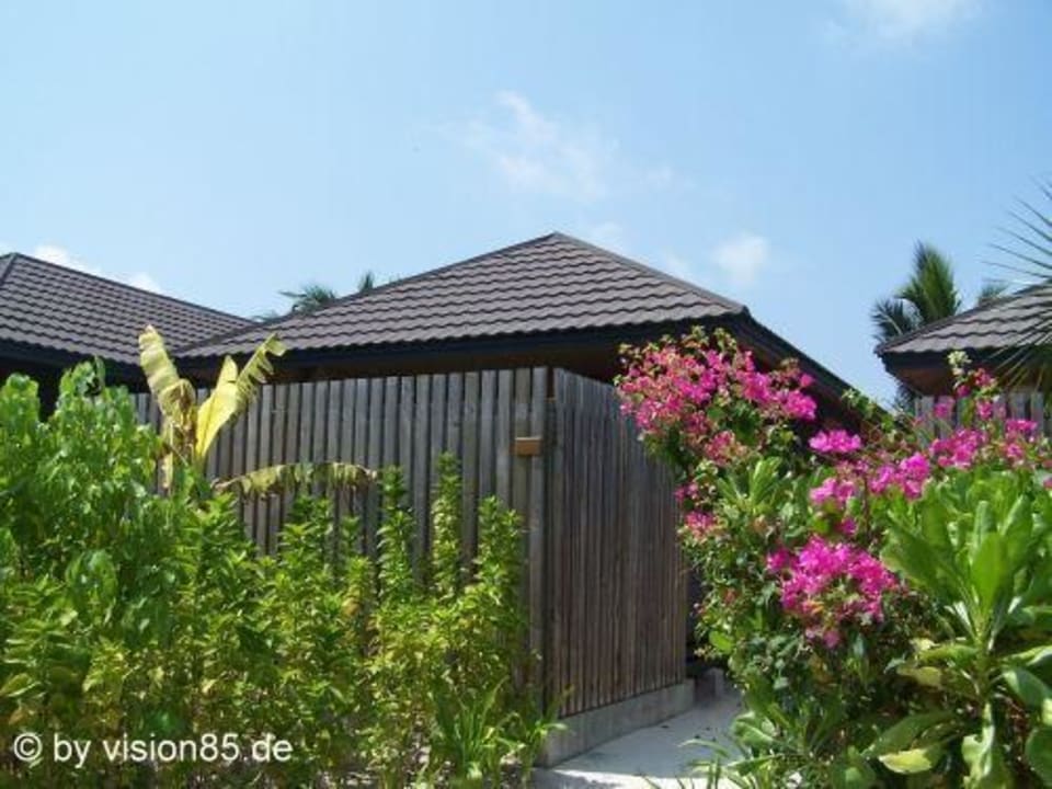 Unsere Villa Kuredu Island Resort & Spa