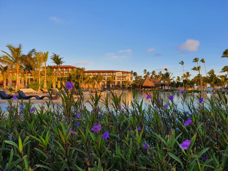 Pool Lopesan Costa Bávaro Resort, Spa & Casino