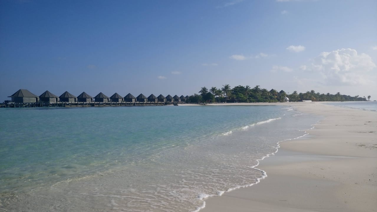 Von der Sandbank aus Kuredu Island Resort & Spa