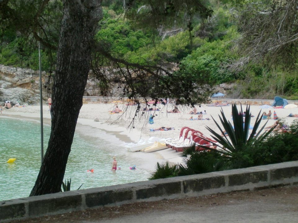 Blick zur Badebucht Iberostar Waves Pinos Park