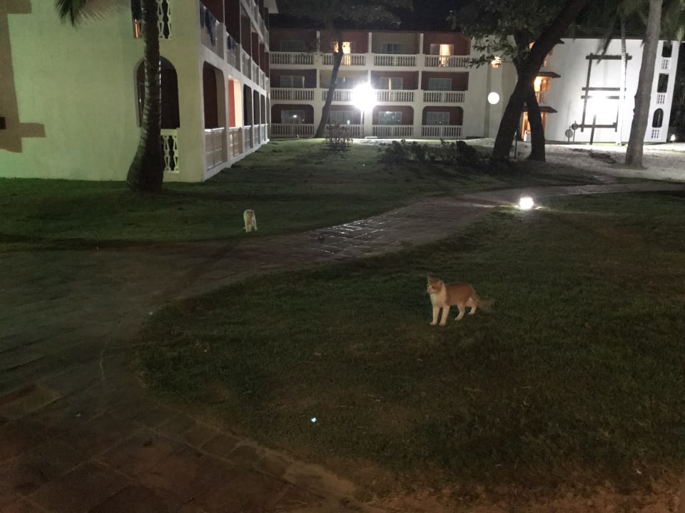 Außenansicht Marien Puerto Plata