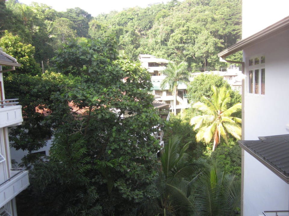 Blick in die Berge Oak Ray Serene Garden Hotel