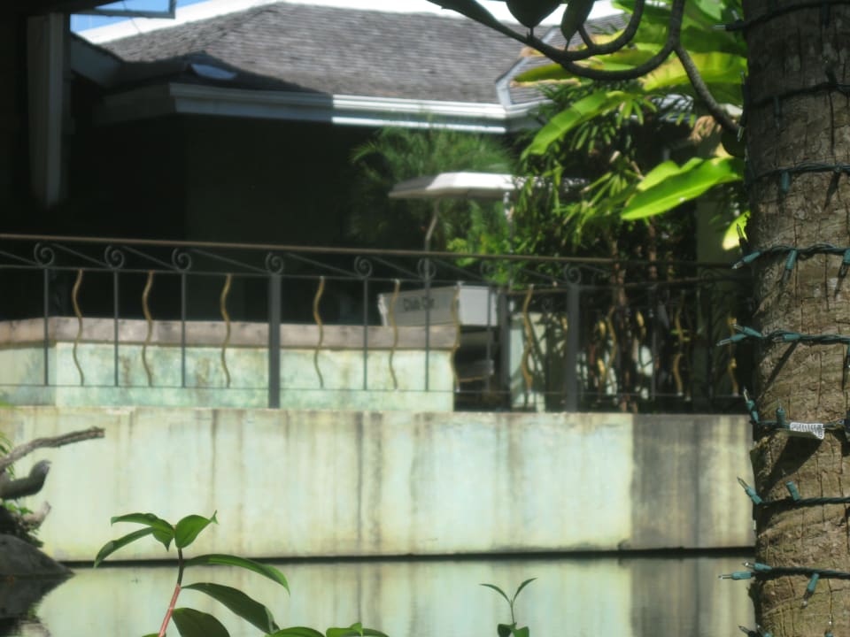 Pflege wäre notwenig Couples Negril - Adults only