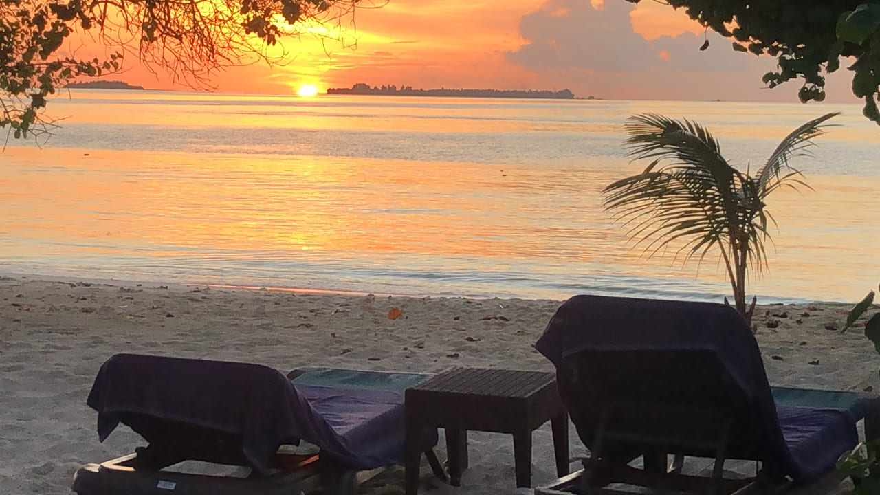 Zimmer Kuredu Island Resort & Spa