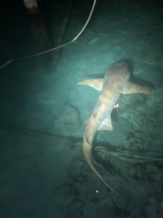 Strand Kuredu Island Resort & Spa