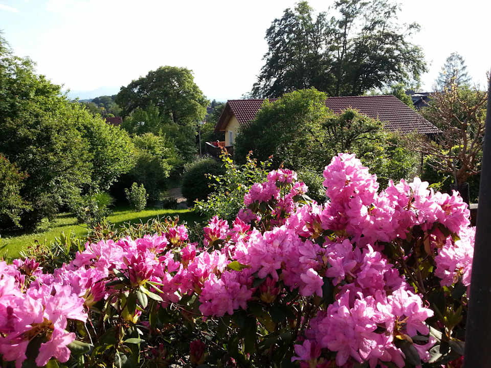 Blick auf den Balkon der FeWo 5 "Chiemsee" Ferienwohnung Linde