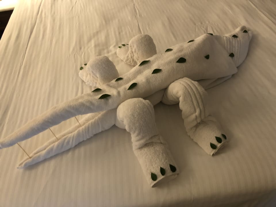 Zimmer Royal Taj Mahal Hotel