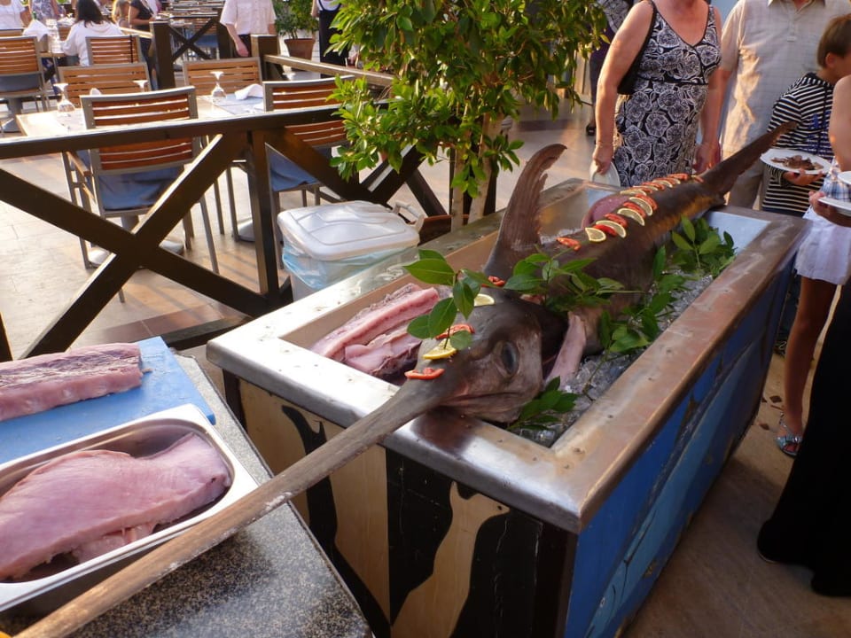 Schwertfisch im Marinarestaurant Liberty Lykia Adults Only