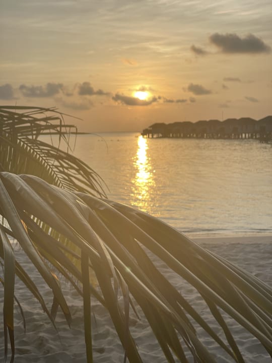 Strand NH Collection Maldives Havodda Resort