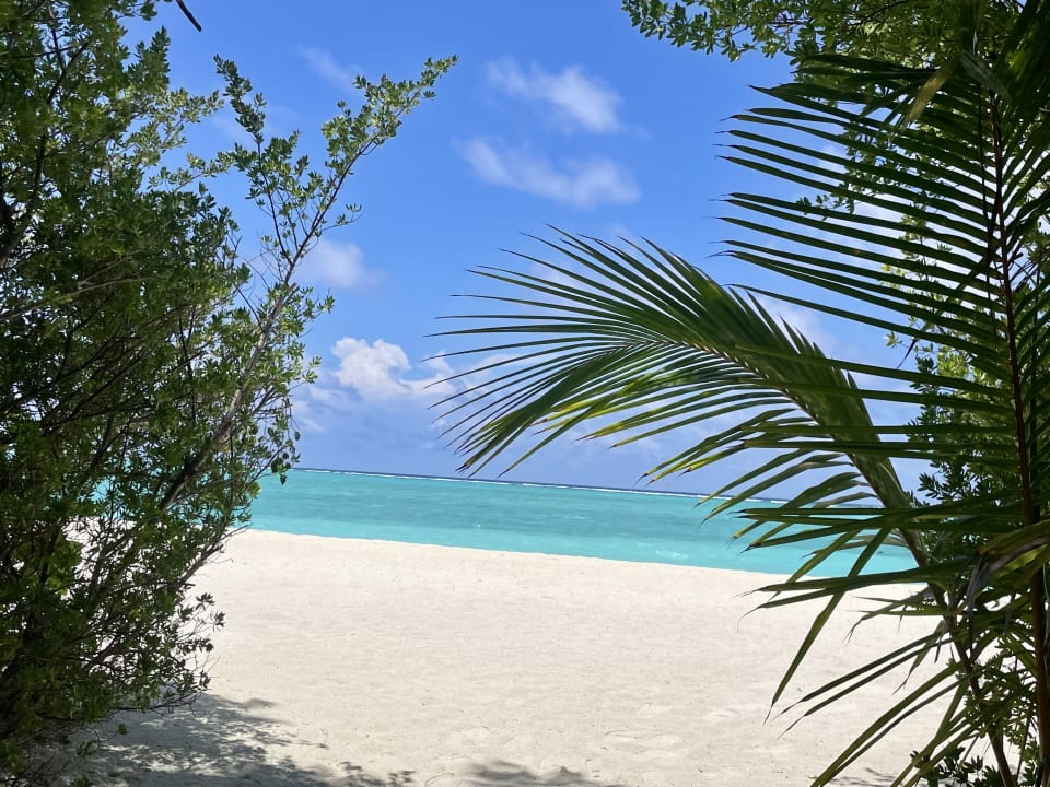 Ausblick Summer Island Maldives