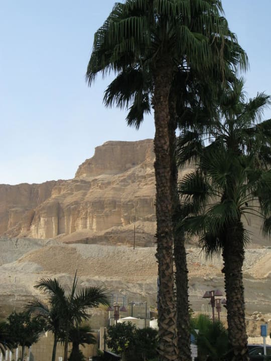 Вид из отеля Royal Hotel Dead Sea