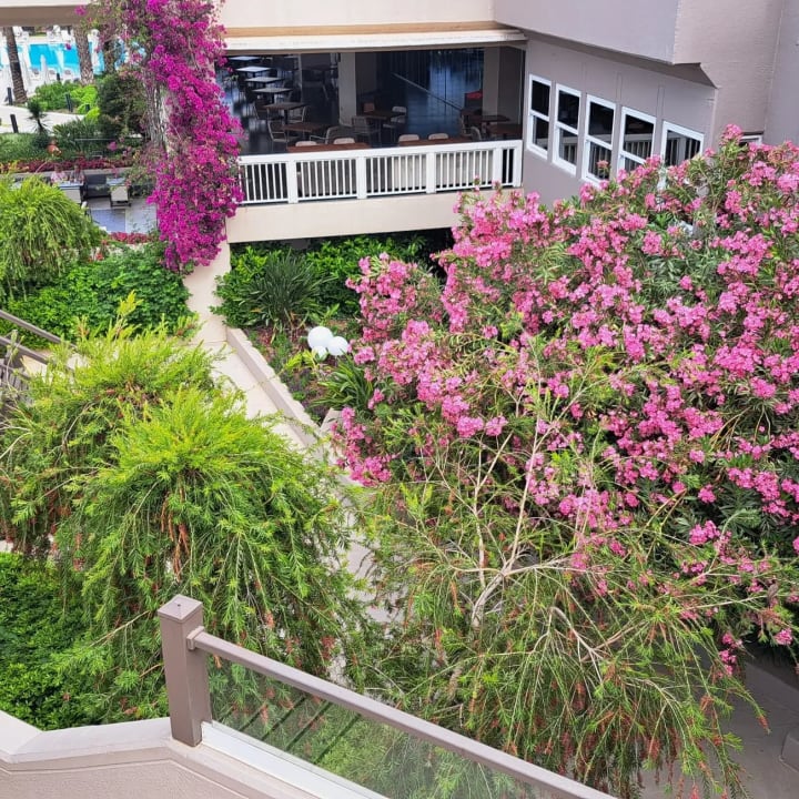 Gartenanlage PALOMA Perissia
