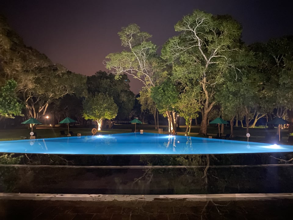 Pool Habarana Village by Cinnamon