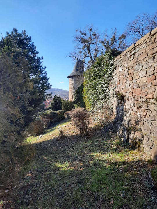 Außenansicht Pension und Restaurant am Nicolaiplatz