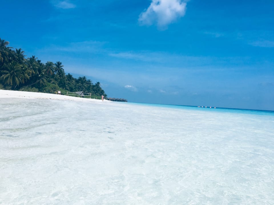 Strand Fihalhohi Maldives