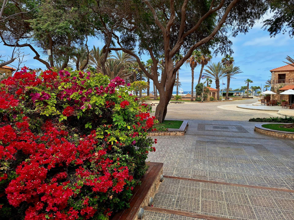 Gartenanlage Hotel Morabeza