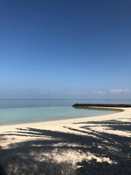 Strand Summer Island Maldives