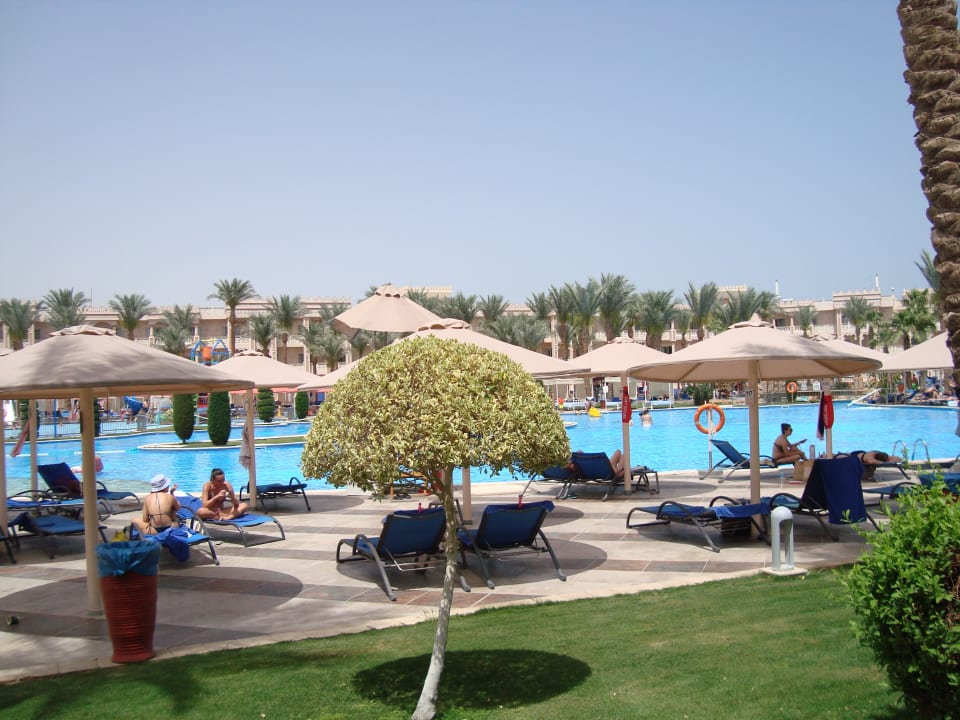 Pool Beach Albatros Resort