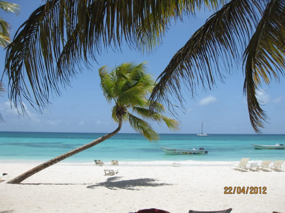 Fast wie auf der Postkarte Punta Cana Princess All Suites Resort & Spa