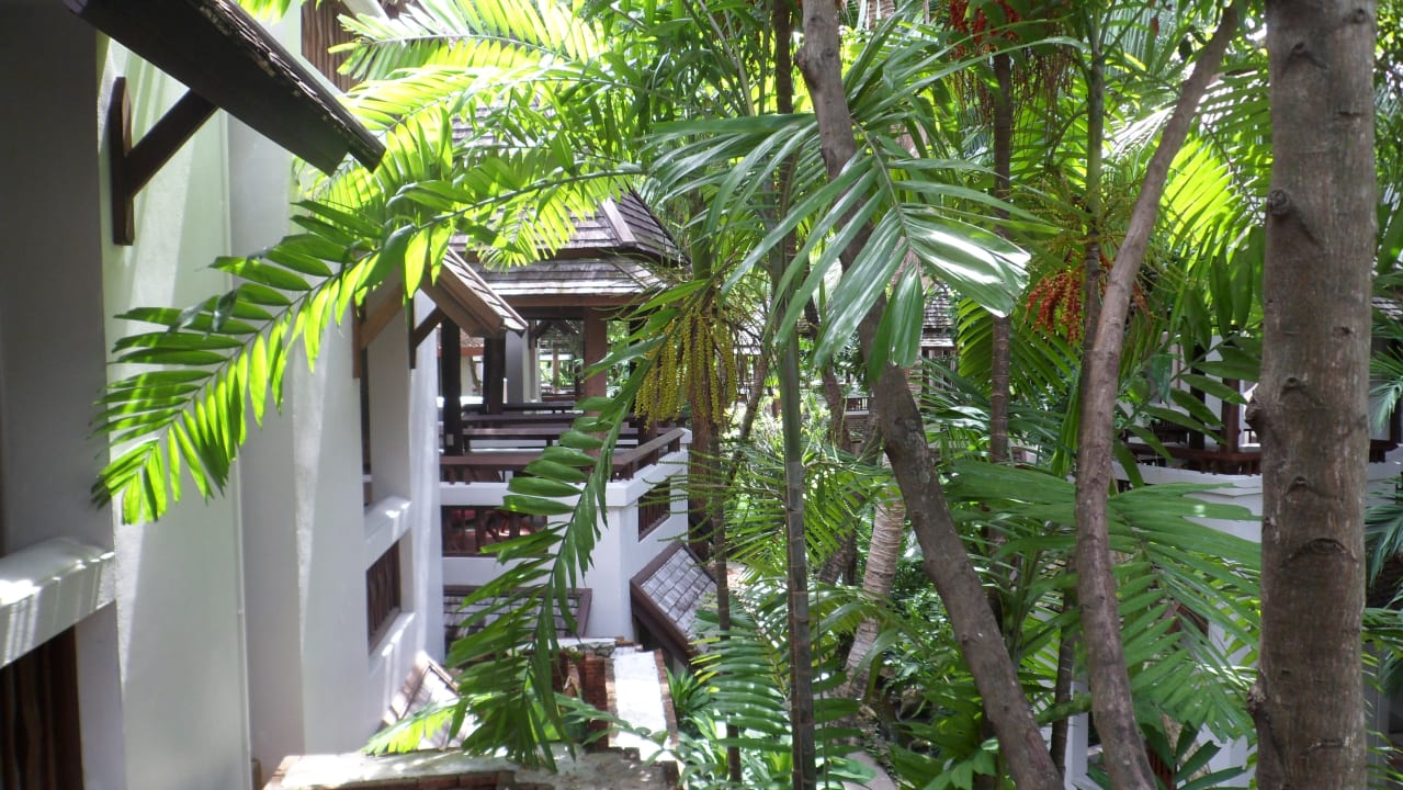 Ausblick Muang Samui Spa Resort