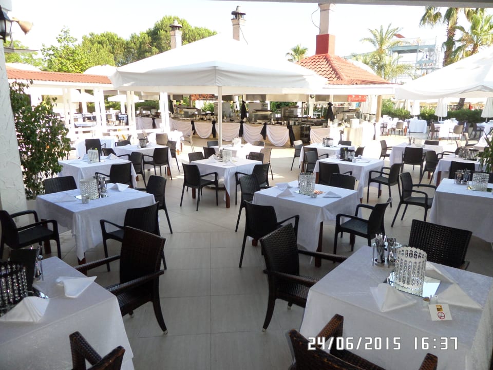 Black and White  Asteria Family Belek