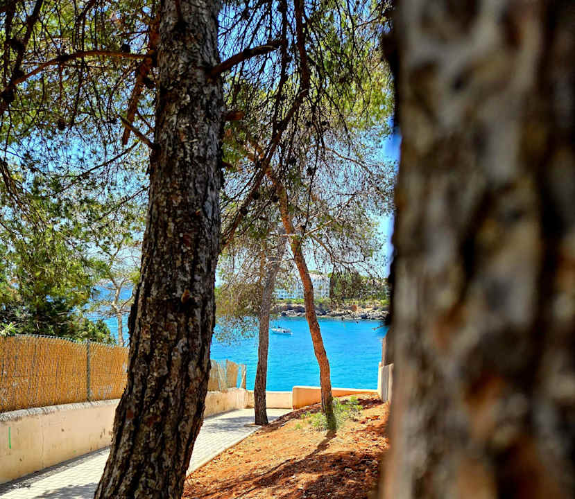 Sonstiges Cala Llenya Resort Ibiza