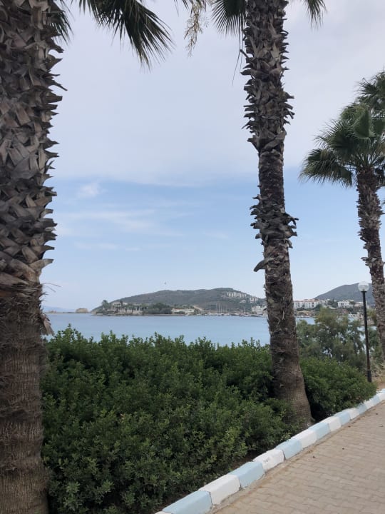 Ausblick Hotel Club Datca Tatil Koyu