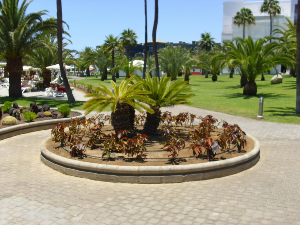 Innenhof Hotel Riu Gran Canaria