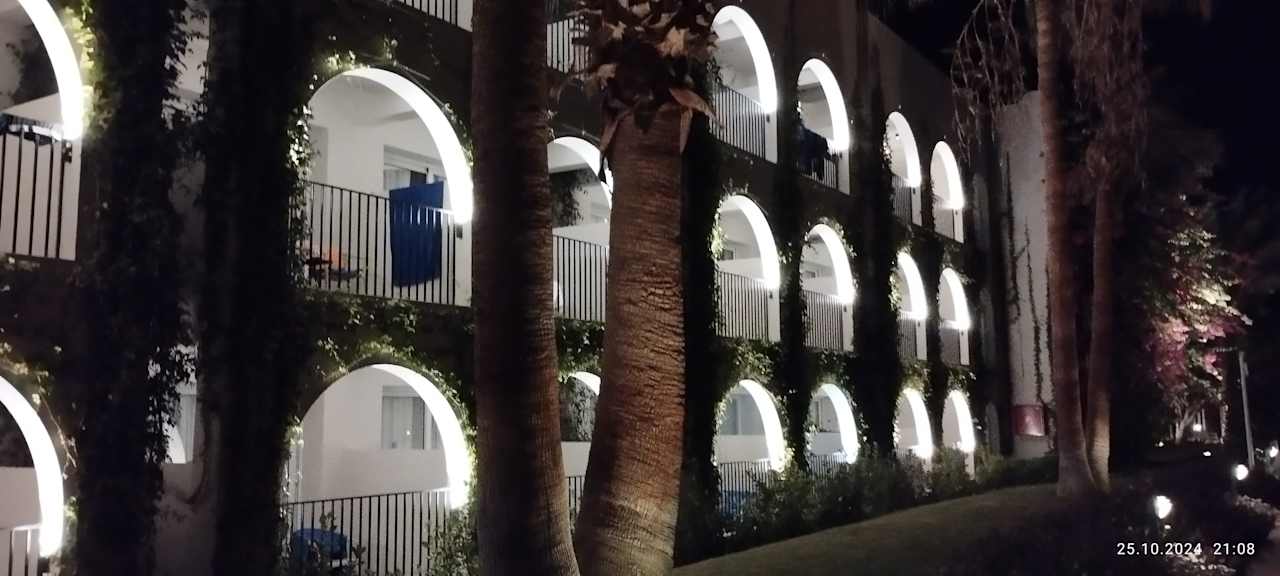 Sonstiges Desert Rose