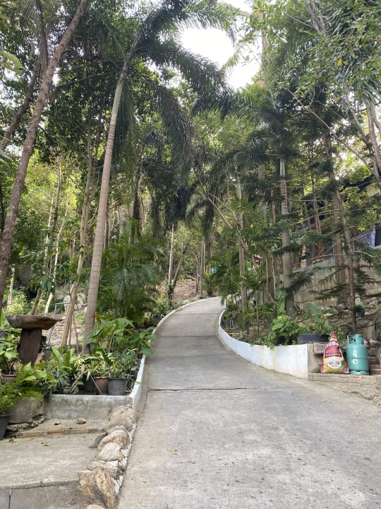 Außenansicht Cookies Salad Resort