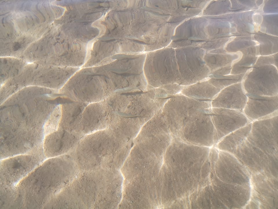 Strand The Grand Palace - Adults only