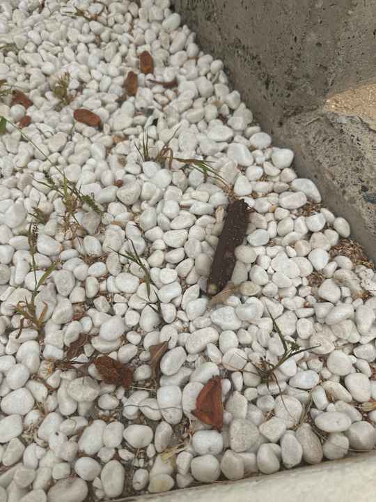 Außenansicht Radisson Blu Resort Gran Canaria