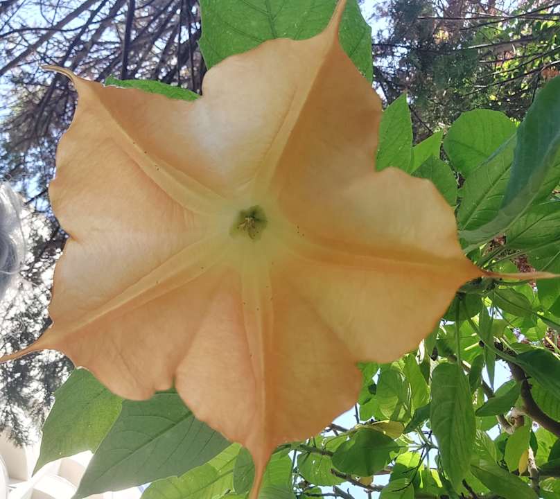 Sonstiges Saturn Palace Resort Hotel