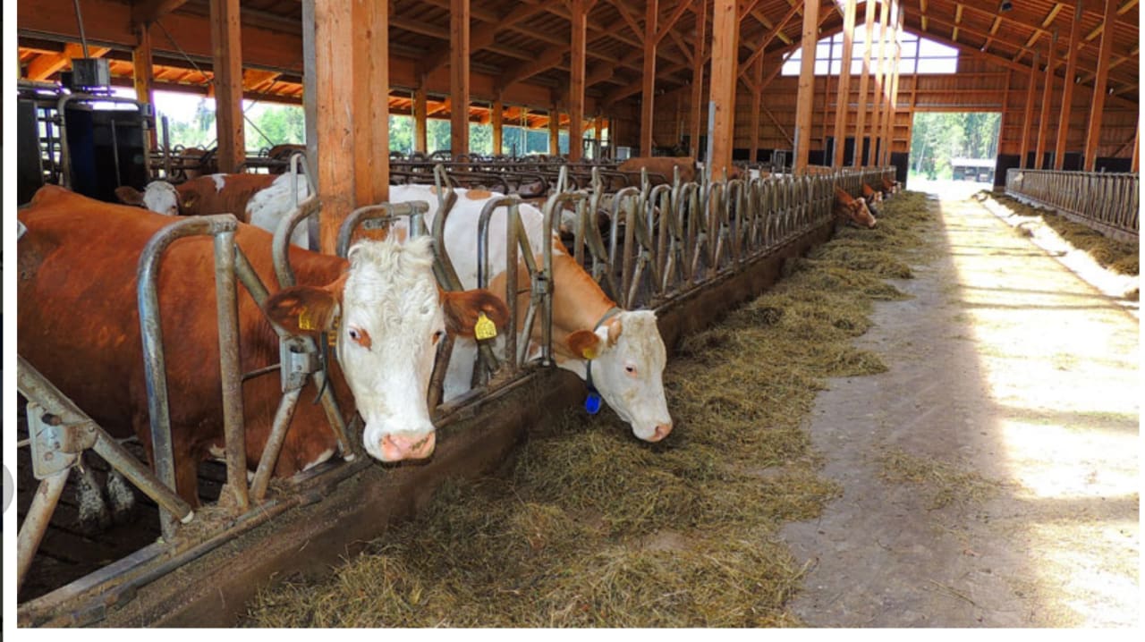 Sonstiges Bernwieserhof