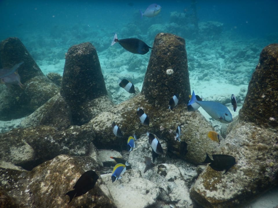 Sport & Freizeit Embudu Village