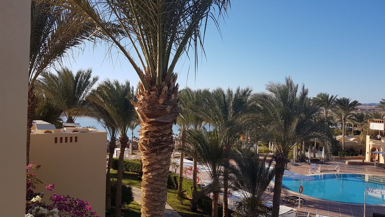 Gartenanlage Steigenberger Coraya Beach - Adults only