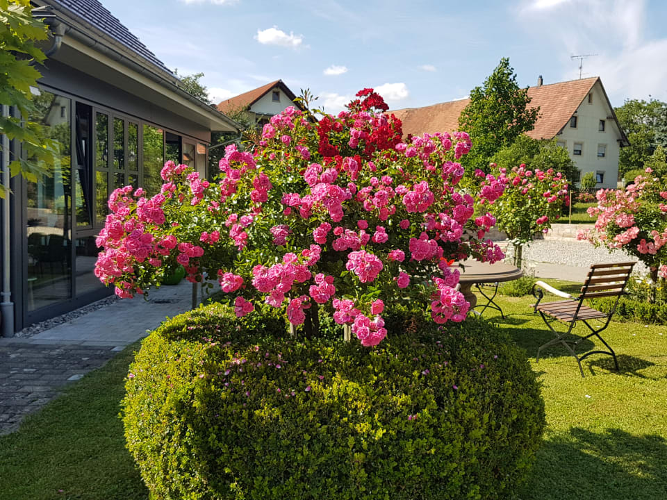 Gartenanlage Hotel Garni Landgut Apfelrose
