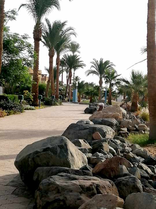 Gartenanlage Shams Safaga Resort
