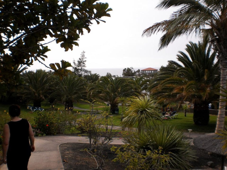Gartenanlage beim Hotel, nur ein Teil davon allsun App.-Hotel Esquinzo Beach
