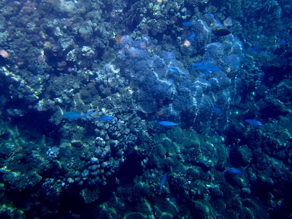 In the sea Three Corners Equinox Beach Resort