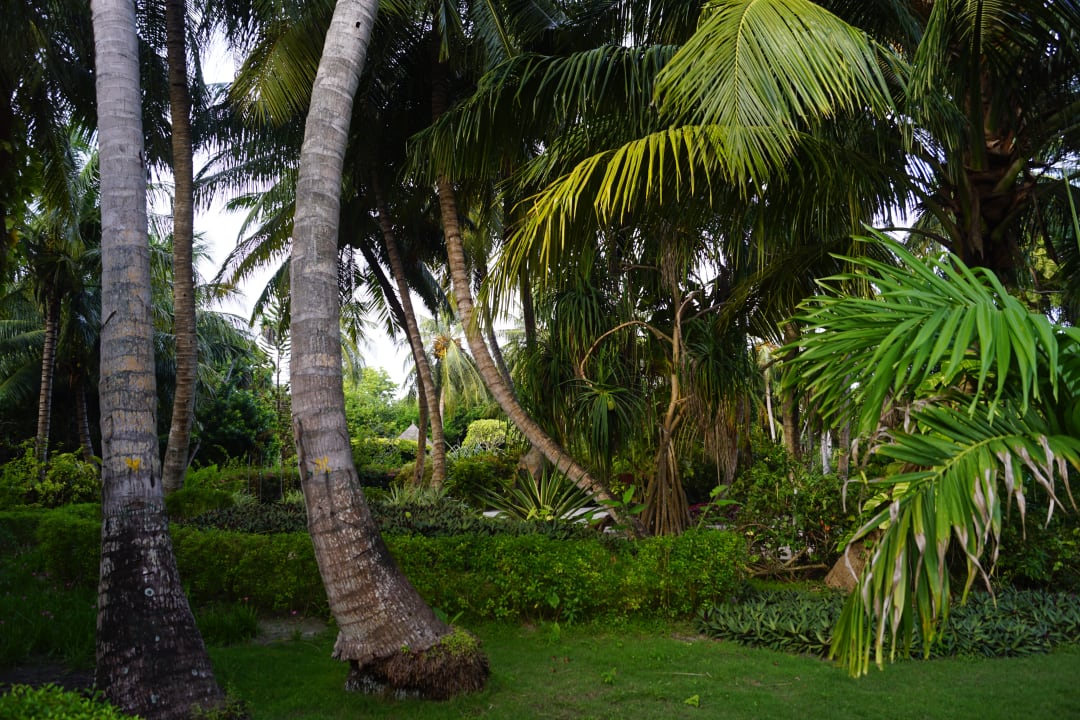 Gartenanlage Adaaran Select Meedhupparu Island Resort - Premium All Inclusive