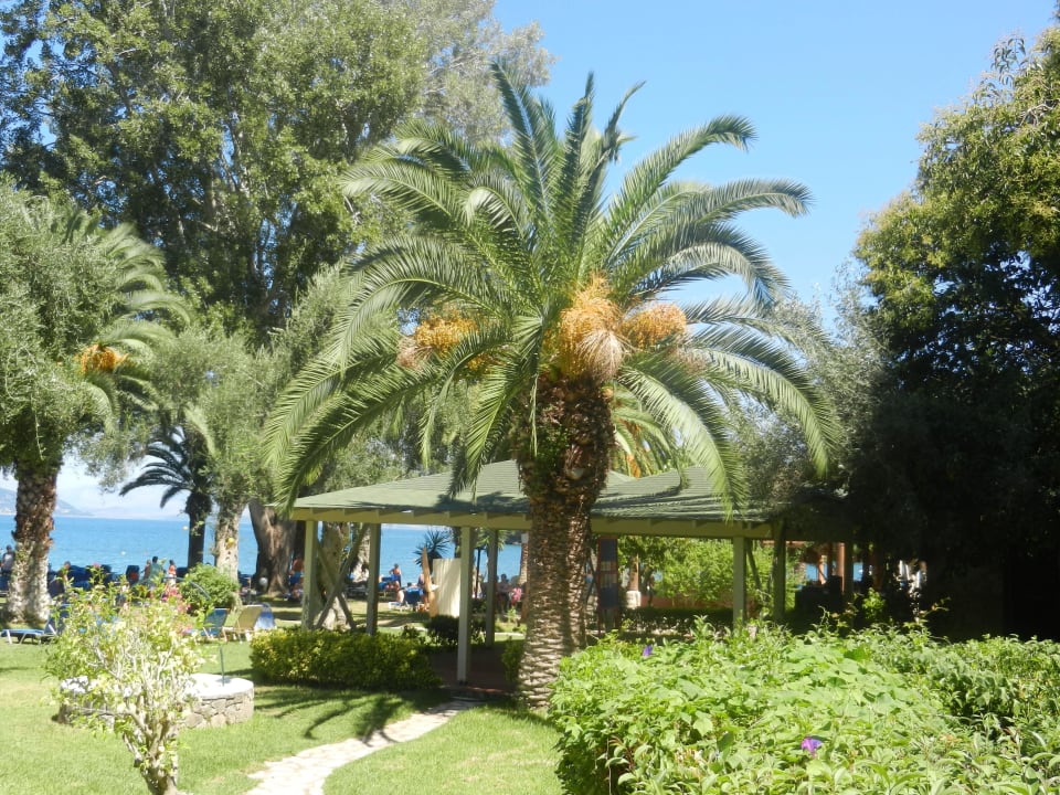 Chemin de la plage Grecotel LUXME Daphnila Bay