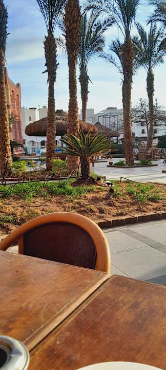 Gartenanlage Hotel Sun & Sea