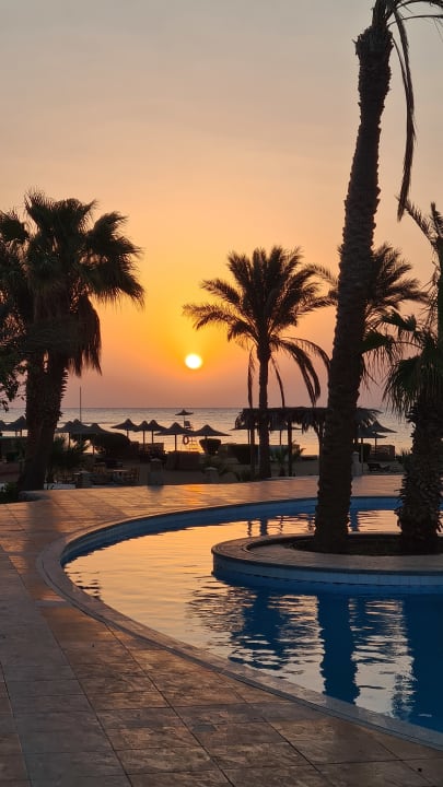 Ausblick Shams Alam Beach Resort